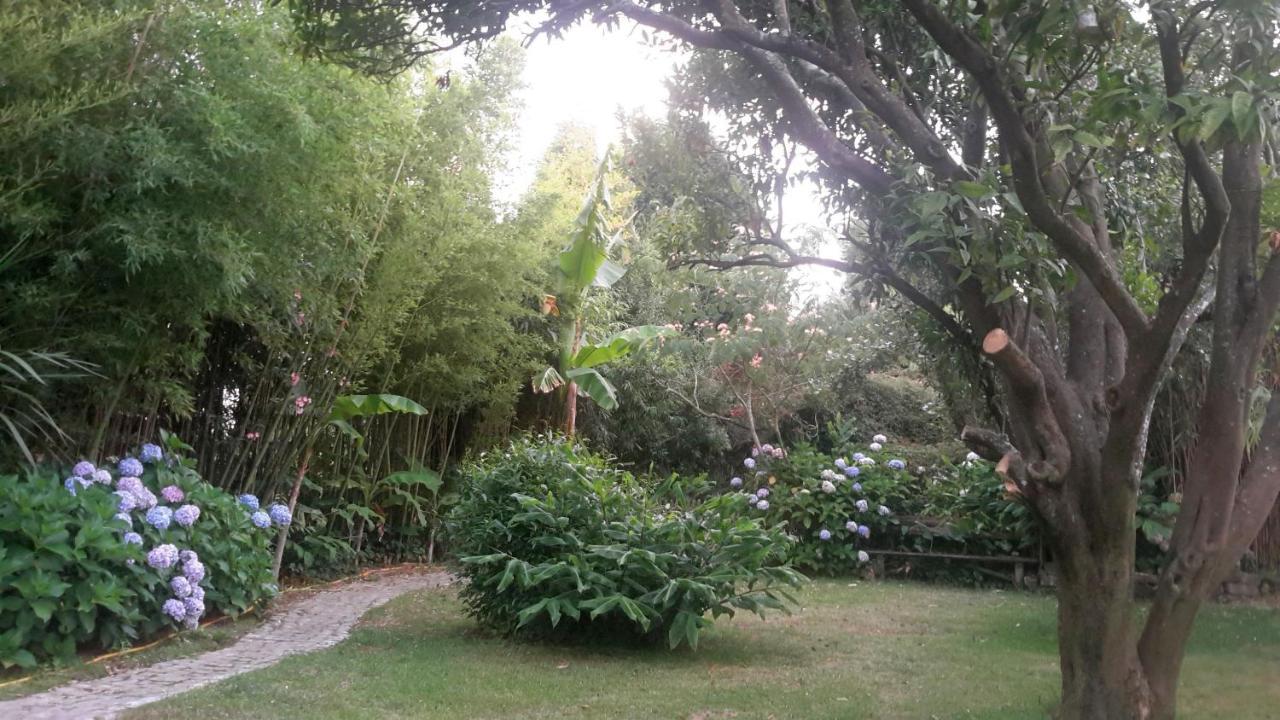 Bed and Breakfast Casa 3 Aguias Aveiro Exterior foto