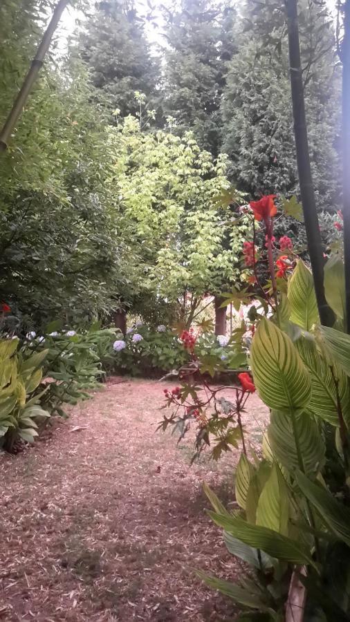 Bed and Breakfast Casa 3 Aguias Aveiro Exterior foto